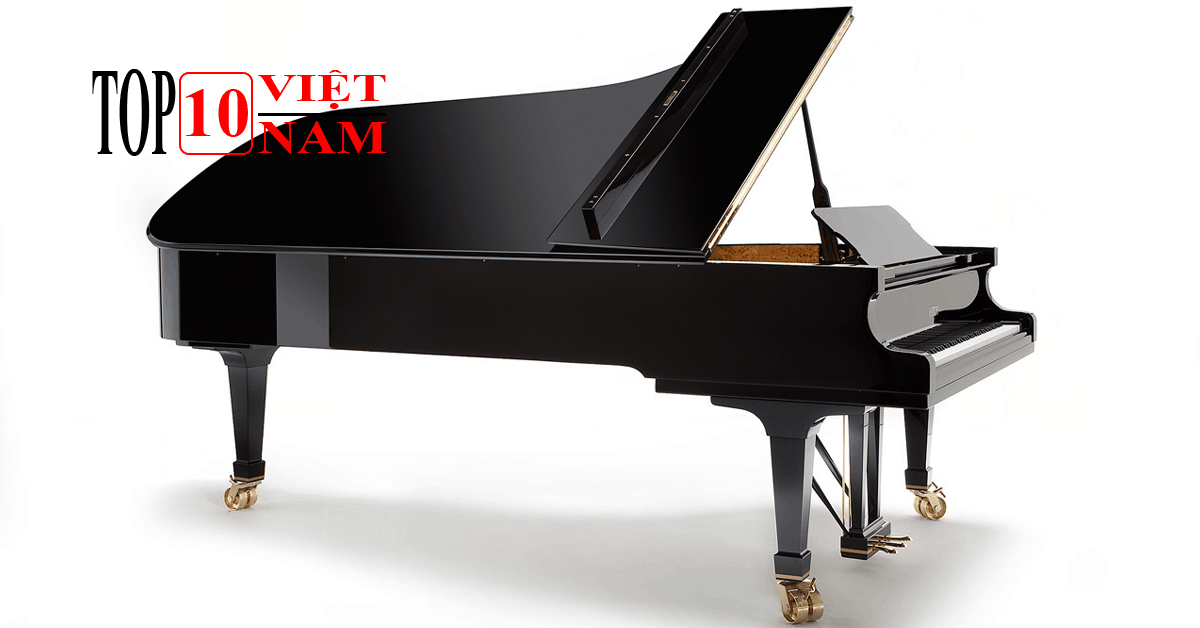 Công Ty TNHH Huy Quang Piano & Nhạc Cụ