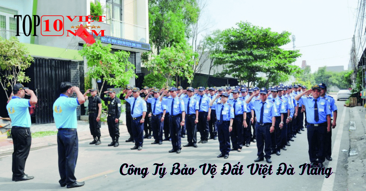 Công Ty Dịch Vụ Đất Việt