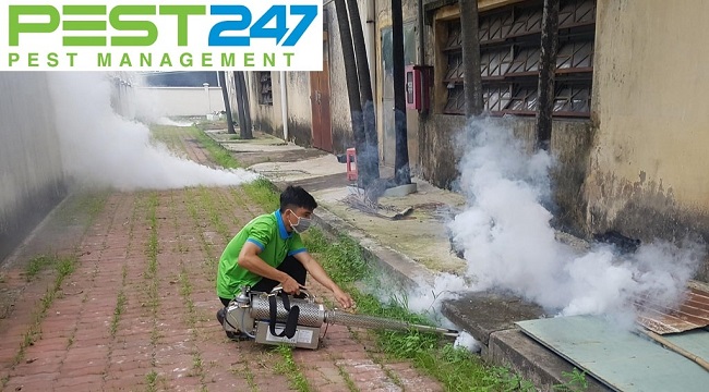 Công ty diệt côn trùng PEST247 – GFC