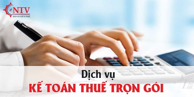 Công Ty TNHH Đại Lý Thuế NTVTax - Dịch Vụ Báo Cáo Thuế TPHCM