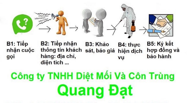Diệt mối quận 8 công ty Quang Đạt