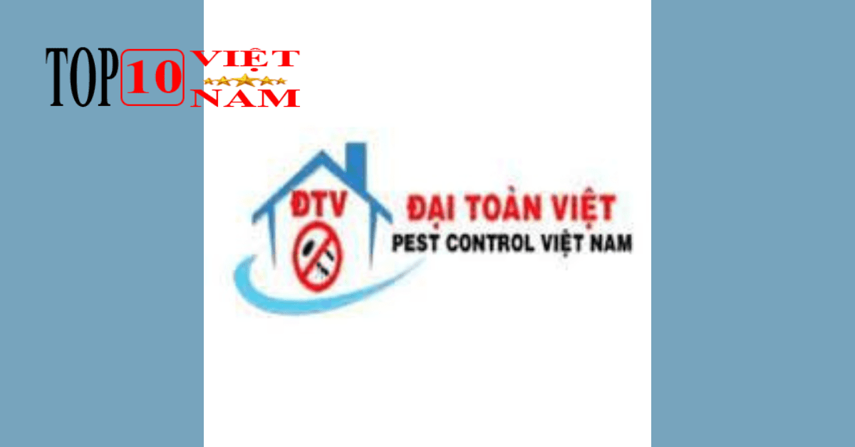 Công Ty TNHH Diệt Mối Và Côn Trùng Đại Toàn Việt
