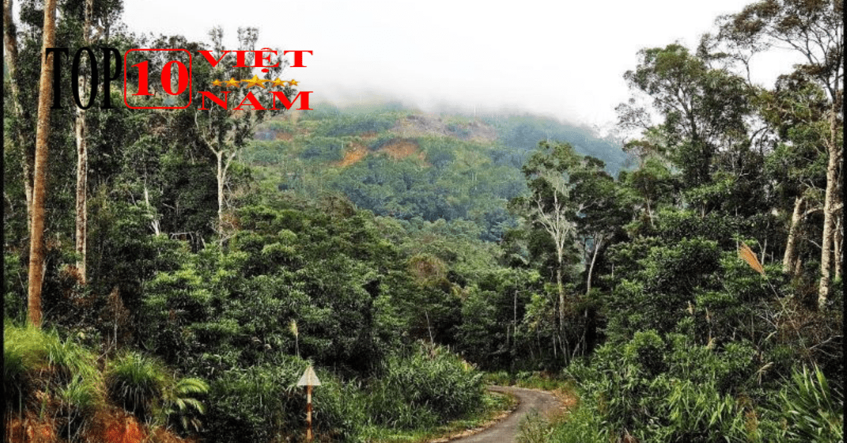 Điểm Cắm Trại Tại Nha Trang Núi Hòn Bà