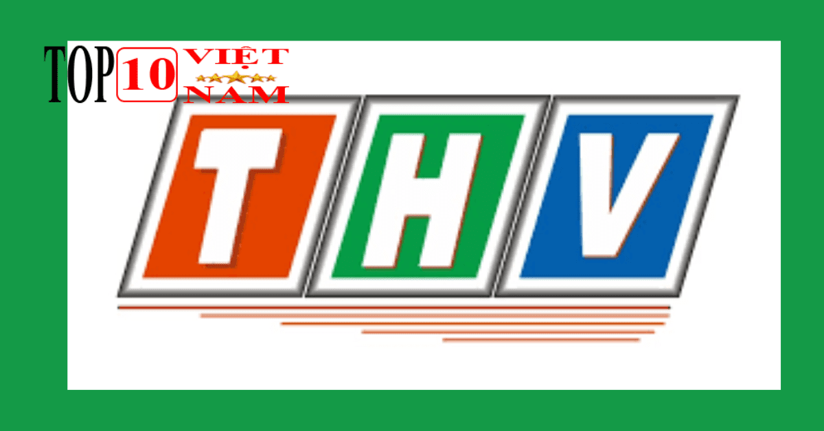 Công ty TNHH TMDV – TV Tân Hùng Việt