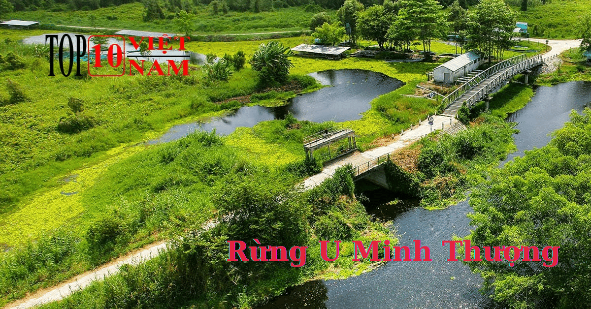 Rừng U Minh Thượng - Kiên Giang