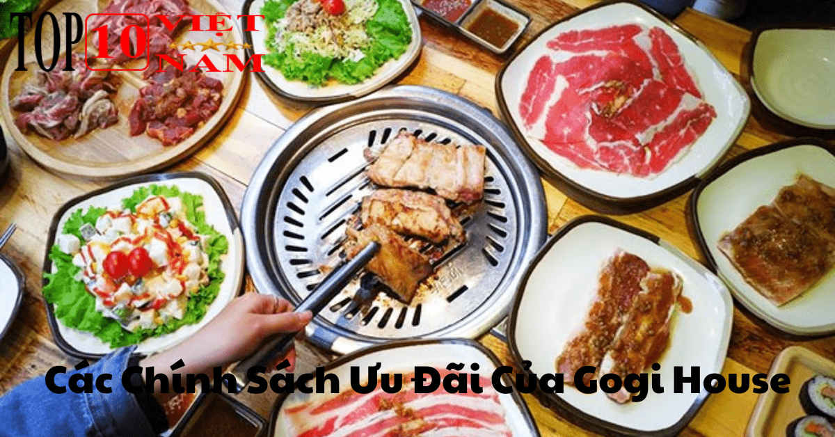 Các Chính Sách Ưu Đãi Của Gogi House