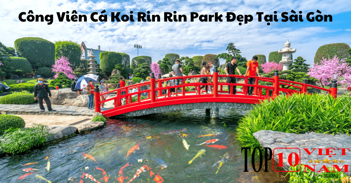 Công Viên Cá Koi Rin Rin Park Đẹp Tại Sài Gòn